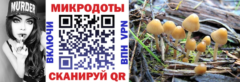 хочу   Ивдель  Галлюциногенные грибы MAGIC MUSHROOMS 