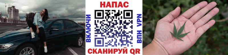 купить наркоту  Ивдель  Бошки Шишки ГИДРОПОН 